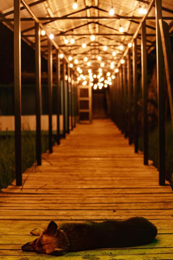 Hotel Oso De Osa Sierpe Zewnętrze zdjęcie